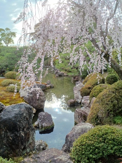 城南宮・春の室町の庭(伏見)