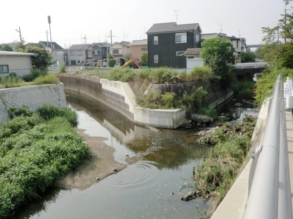 古川(左)・今池川(右)合流部