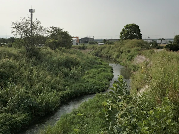 荒州南橋上流で西から北へ流れる古川