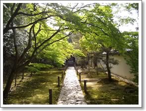 酬恩庵・境内の石畳道