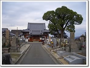 来迎寺参道