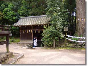 宇治上神社・桐原水