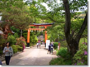 宇治上神社の山道と鳥居