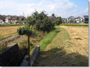 今里用水の水源付近の農地