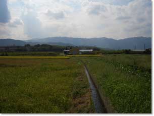 水源付近の今井用水に流れ込む水