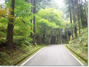 猿丸神社の裏参道