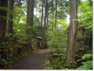 猿丸神社裏参道と手水舎