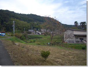 銭司北西の風景