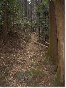 日野から方丈石へ至る山道