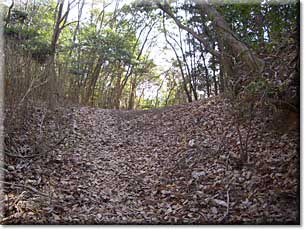 日野と炭山を結ぶ供水峠