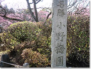 小野梅園の石柱)