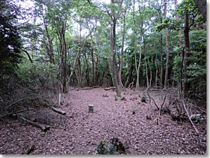 喜撰山の頂上