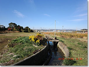 上狛集落の環濠跡水路（北西部）