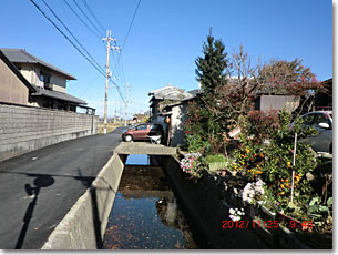 上狛集落の環濠跡水路（西側南部）