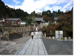 楊谷寺の全景