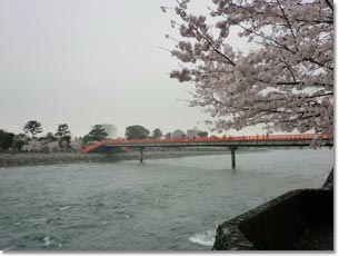 宇治川右岸上流から見た朝霧橋