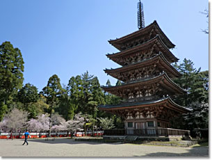 醍醐寺・五重塔