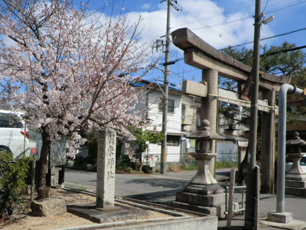 羽束師神社・鳥居と社号標石柱