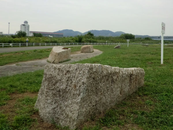 大山崎町・淀川河川公園にある残念石榎