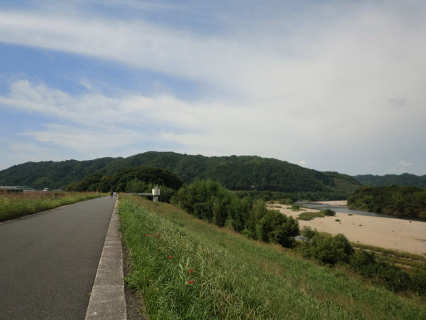 木津川左岸堤から見た大野山