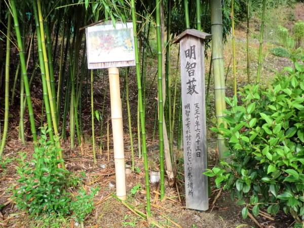 伏見区小栗栖にある明智藪