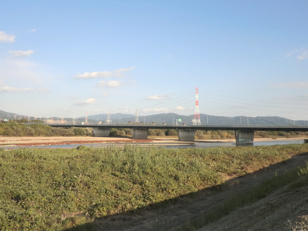 左岸下流から見た新木津川橋