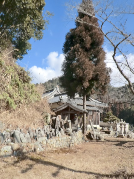 炭山・女人堂の小堂と杉の木