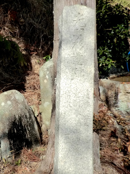 炭山・女人堂の光明杉遺跡石柱