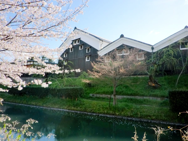 宇治川派流と月桂冠