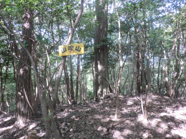 山吹山・山頂