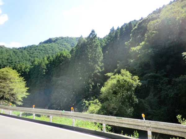 玉川左岸の山吹山連山
